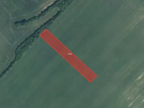 Prodej podílu pole, Mutěnice, 2000 m2