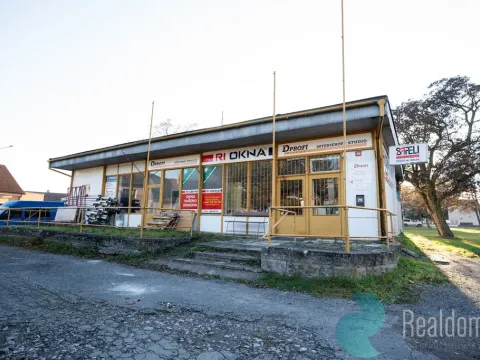 Prodej obchodního prostoru, Městec Králové, Míru, 180 m2
