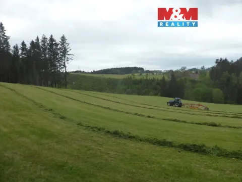 Prodej lesa, Vysoká Srbská, 26095 m2