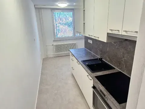 Pronájem bytu 2+1, Luhačovice, 53 m2