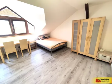 Pronájem bytu 1+kk, Brno, Palackého třída, 28 m2