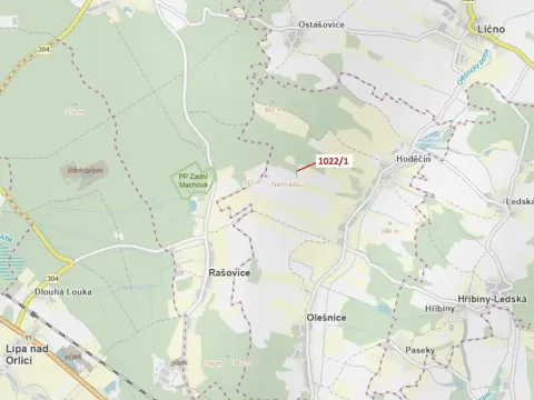 Dražba pole, Olešnice, 318 m2