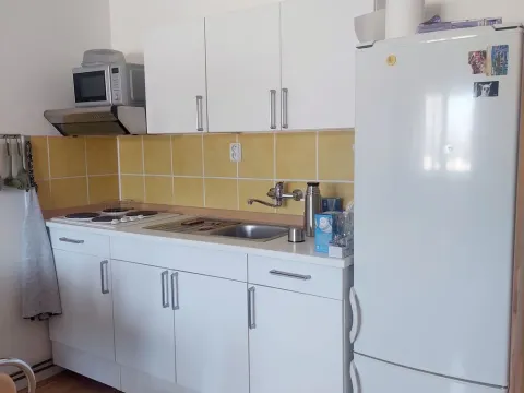 Prodej bytu 1+kk, Brno - Dolní Heršpice, 29 m2