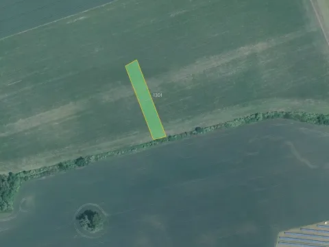 Prodej pole, Žeraviny, 3981 m2