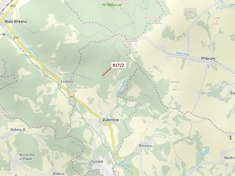 Dražba lesa, Zubrnice, 815 m2