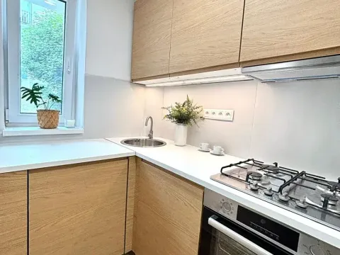 Pronájem bytu 3+1, Meziboří, Hornická, 62 m2