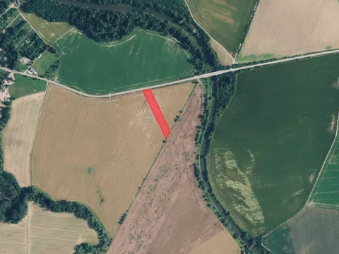 Prodej pole, Dub nad Moravou, 2739 m2