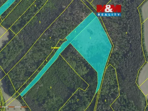 Prodej lesa, Svatý Mikuláš, 20624 m2