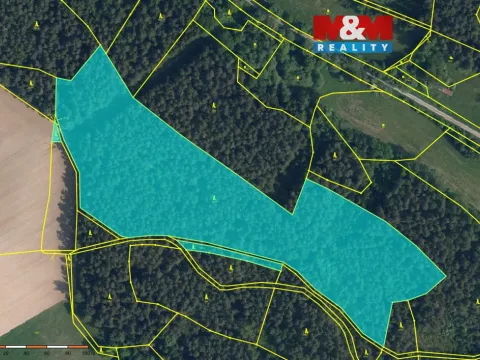 Prodej lesa, Bílá - Chvalčovice, 35696 m2