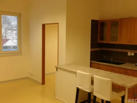 Pronájem bytu 2+kk, Brno, Opavská, 46 m2