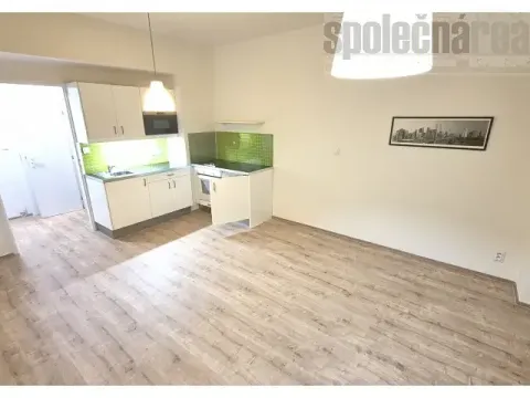 Pronájem bytu 1+kk, Praha - Vinohrady, Slezská, 30 m2