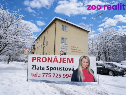 Pronájem bytu 3+1, Chomutov, Karolíny Světlé, 108 m2