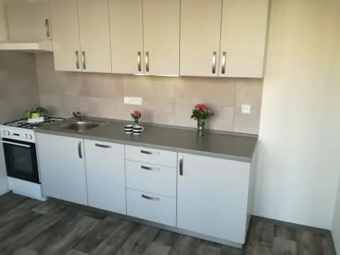 Pronájem bytu 2+1, Ostrava - Moravská Ostrava, Gen. Píky, 58 m2