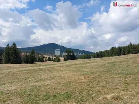 Prodej louky, Horská Kvilda, 1321 m2