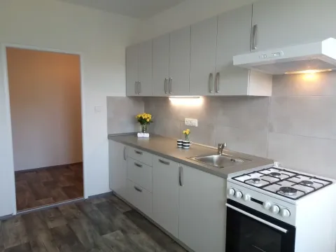 Pronájem bytu 2+1, Ostrava - Výškovice, Staňkova, 57 m2