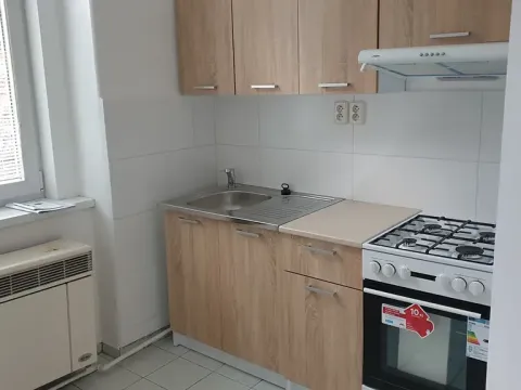Pronájem bytu 1+1, Novosedlice, Malodrážní, 50 m2