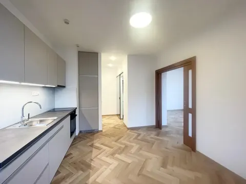 Pronájem bytu 1+1, Liberec, Hálkova, 55 m2