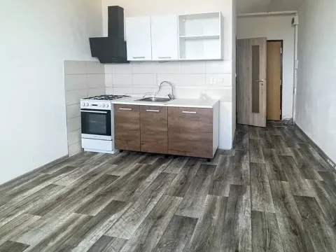 Pronájem bytu 1+1, Jirkov, Krušnohorská, 33 m2