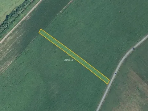 Prodej pole, Skoronice, 5446 m2