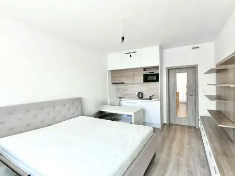 Pronájem bytu 1+kk, Praha - Žižkov, Jana Želivského, 38 m2