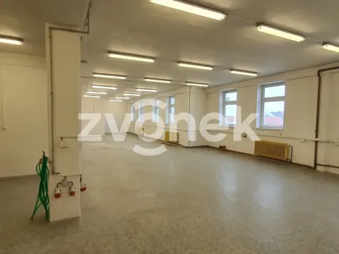 Pronájem skladu, Ostrožská Nová Ves, 1272 m2