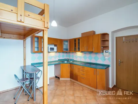 Pronájem bytu 1+kk, Tábor, Třebízského, 20 m2