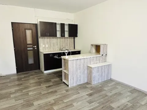Pronájem bytu 1+kk, České Budějovice, M. Chlajna, 32 m2
