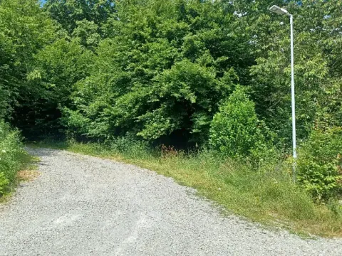 Dražba pozemku, Chlum, 12440 m2