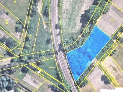 Prodej pole, Sulejovice, 1549 m2