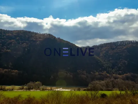 Prodej rodinného domu, Hlince, 110 m2