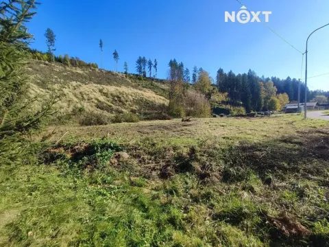 Prodej zahrady, Staré Buky, 2666 m2