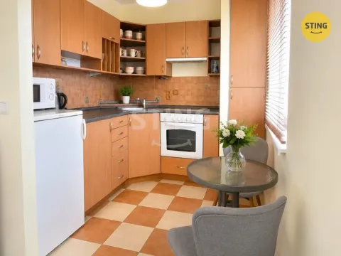 Pronájem bytu 1+kk, Ostrava - Bělský Les, 38 m2