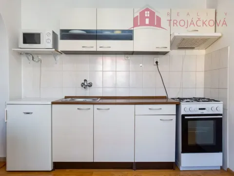 Prodej bytu 1+1, Ostrava - Mariánské Hory, 28. října, 48 m2