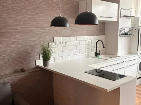 Pronájem bytu 1+kk, Teplice, U divadla, 38 m2