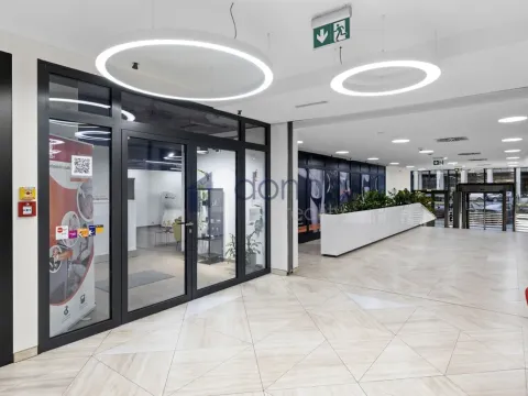 Pronájem obchodního prostoru, Praha, Sokolovská, 184 m2