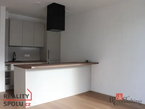 Pronájem bytu 1+kk, Plzeň - Východní Předměstí, Zahradní, 45 m2