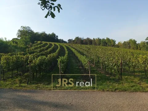 Prodej pozemku, Mutěnice, 3399 m2