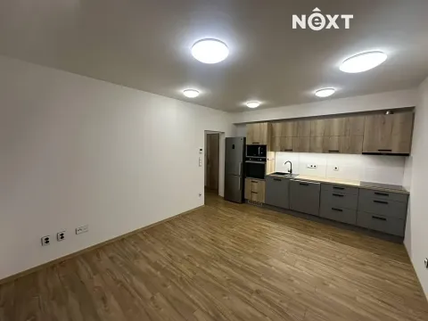 Pronájem bytu 2+kk, České Budějovice, Hlinecká, 38 m2