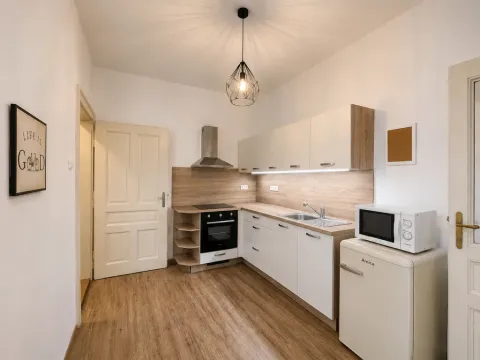 Pronájem bytu 1+1, Olomouc - Pavlovičky, Gorkého, 47 m2