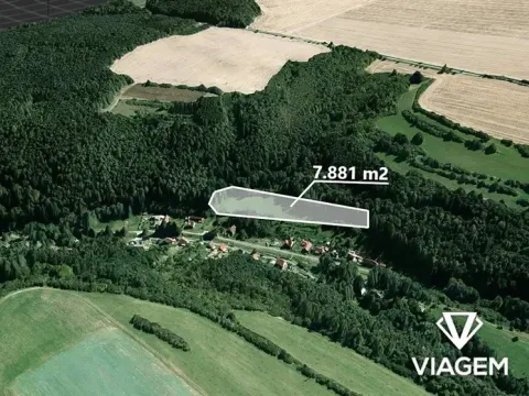 Prodej pole, Lašovice, 7881 m2