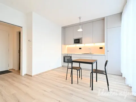 Pronájem bytu 1+kk, Brno, Rybářská, 29 m2