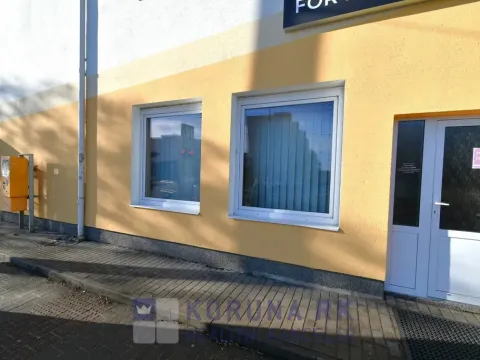 Pronájem obchodního prostoru, České Budějovice - České Budějovice 2, J. Opletala, 58 m2