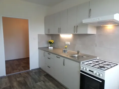 Pronájem bytu 2+1, Ostrava - Výškovice, Staňkova, 57 m2