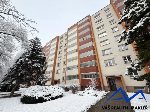 Prodej bytu 1+1, Orlová, Masarykova třída, 41 m2