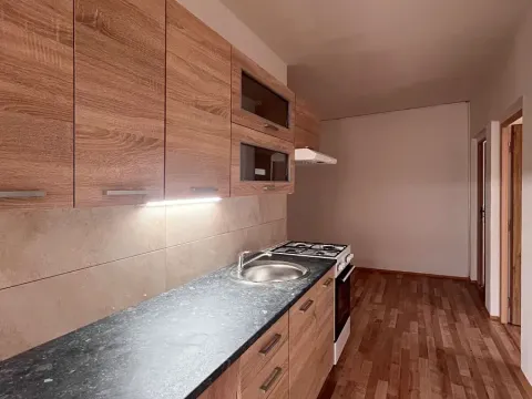 Pronájem bytu 3+1, Chomutov, Borová, 62 m2