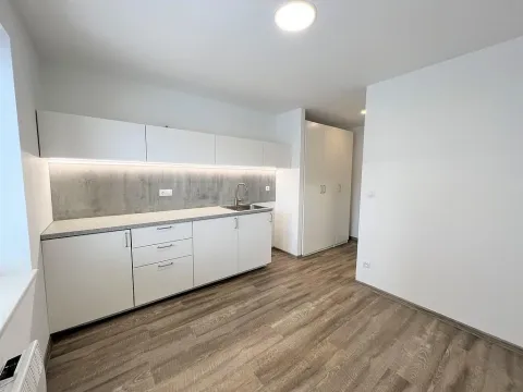 Pronájem bytu 1+kk, Brno - Maloměřice, Hády, 18 m2
