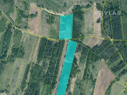 Prodej lesa, Jetětice, 103270 m2