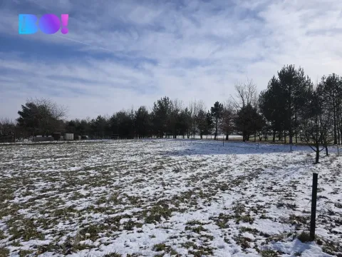 Prodej pozemku pro bydlení, Velké Albrechtice, 1067 m2