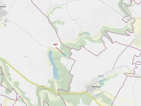 Dražba lesa, Mladoňovice, 2344 m2