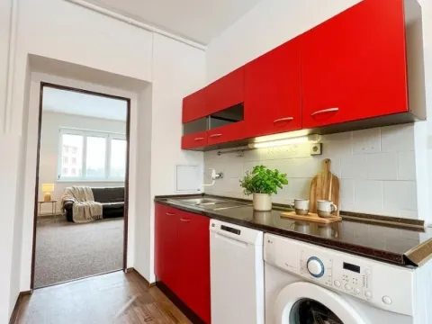 Pronájem bytu 1+1, Ostrava - Moravská Ostrava, Gorkého, 54 m2